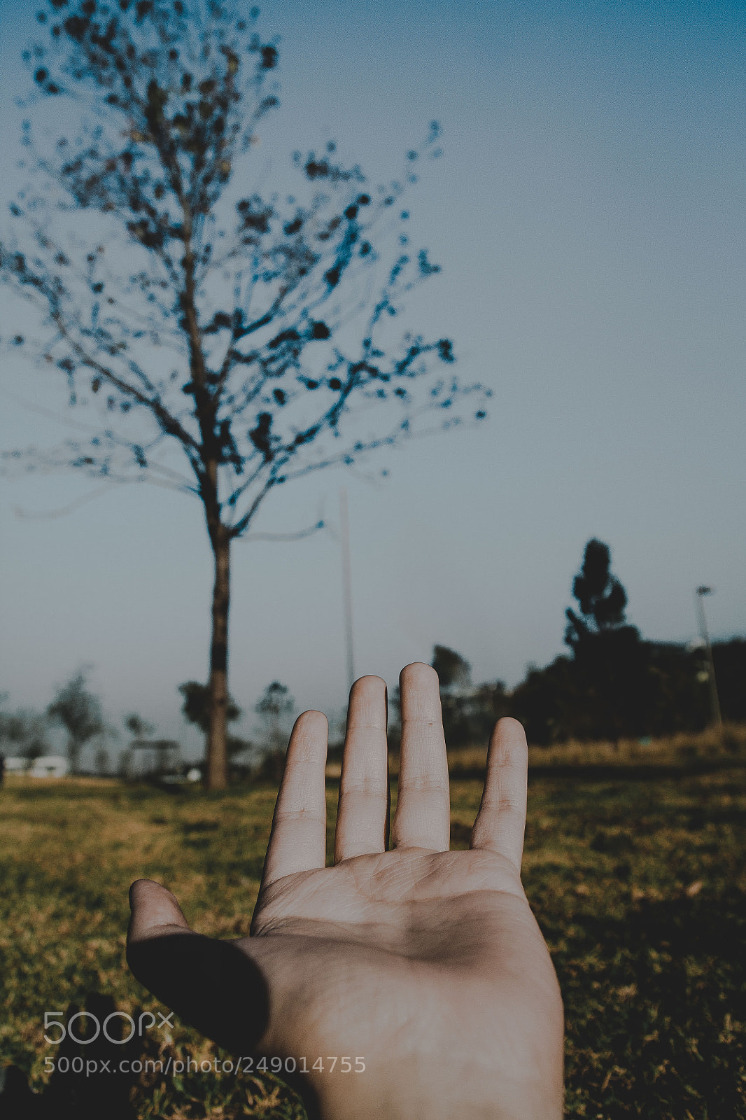 Canon EOS 600D (Rebel EOS T3i / EOS Kiss X5) sample photo. Another hand photography