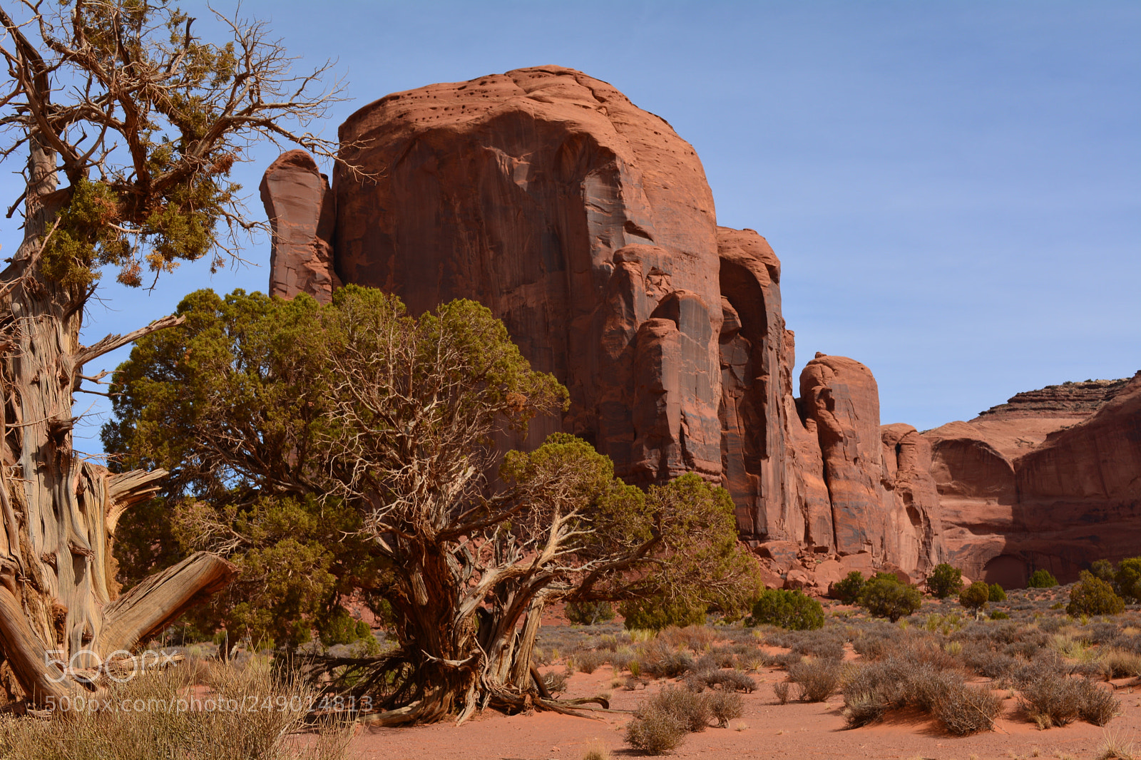 Nikon D5200 sample photo. Wild monument valley photography