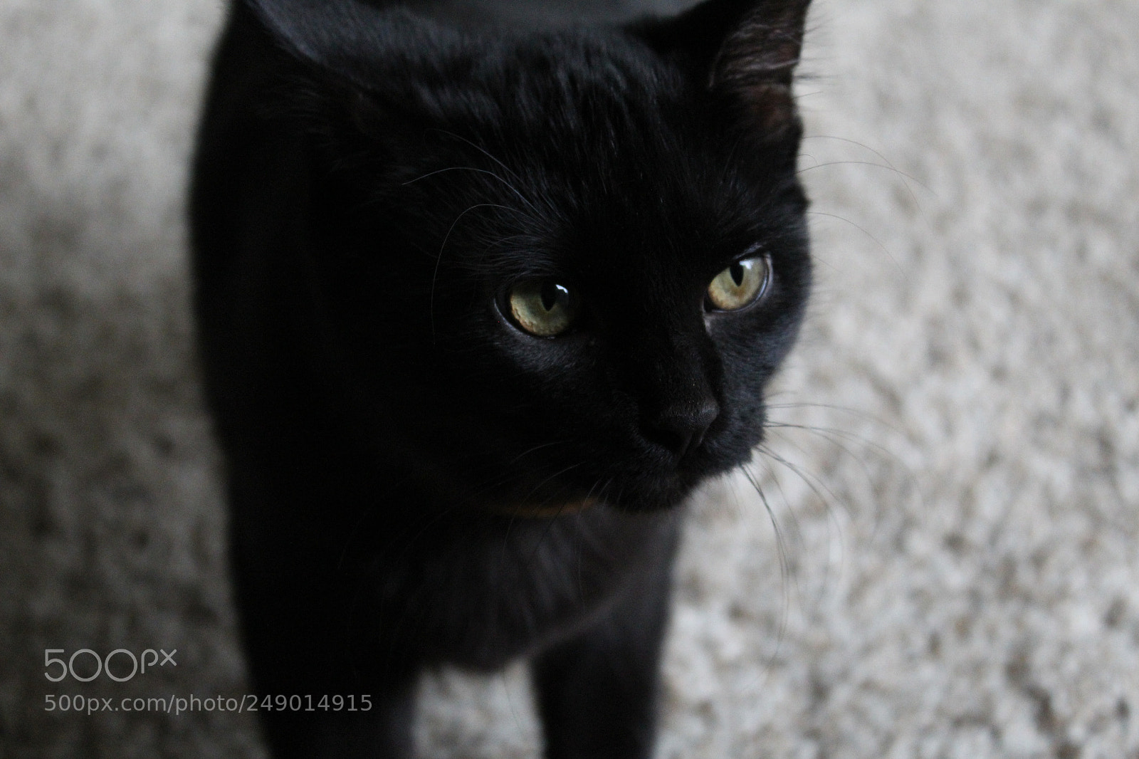 Canon EOS 1300D (EOS Rebel T6 / EOS Kiss X80) sample photo. Sombra photography