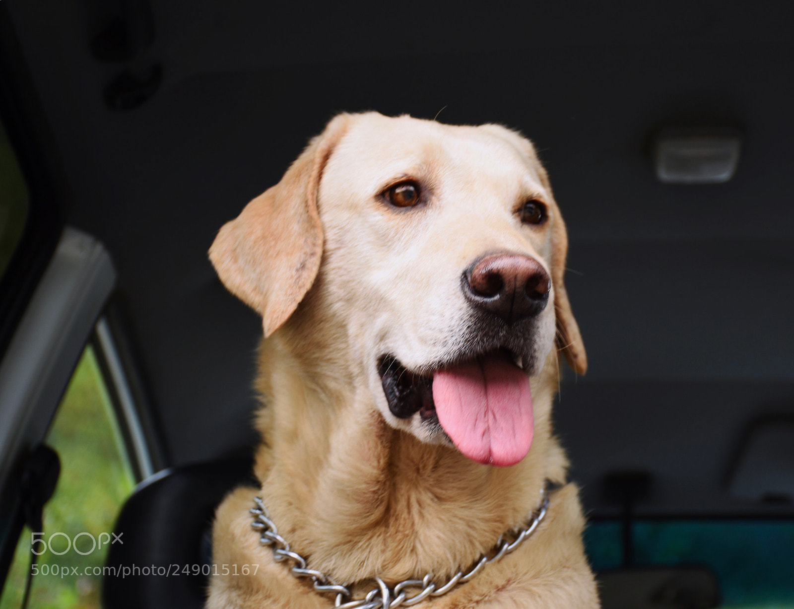 Nikon D7200 sample photo. Samuel matheus! photography