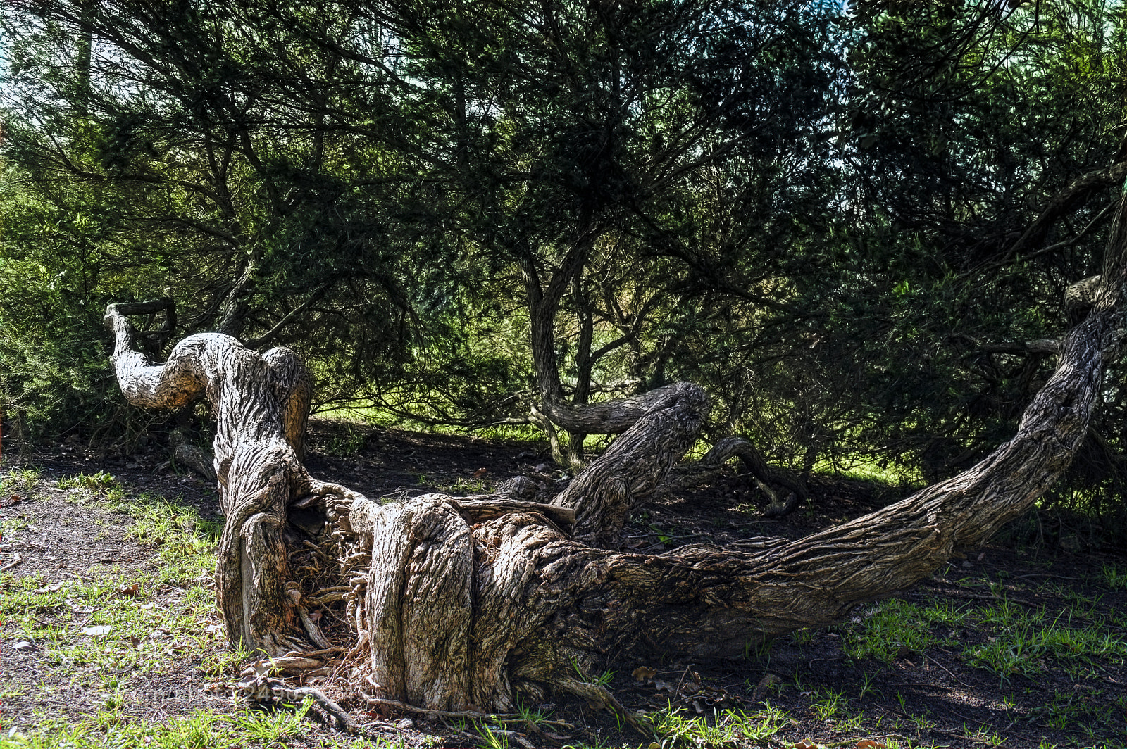 Nikon D3200 sample photo. Tonemapped photography