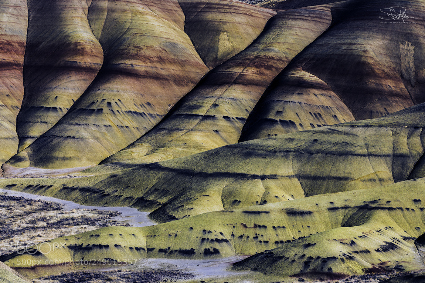 Sony a7R II sample photo. Painter's palette photography