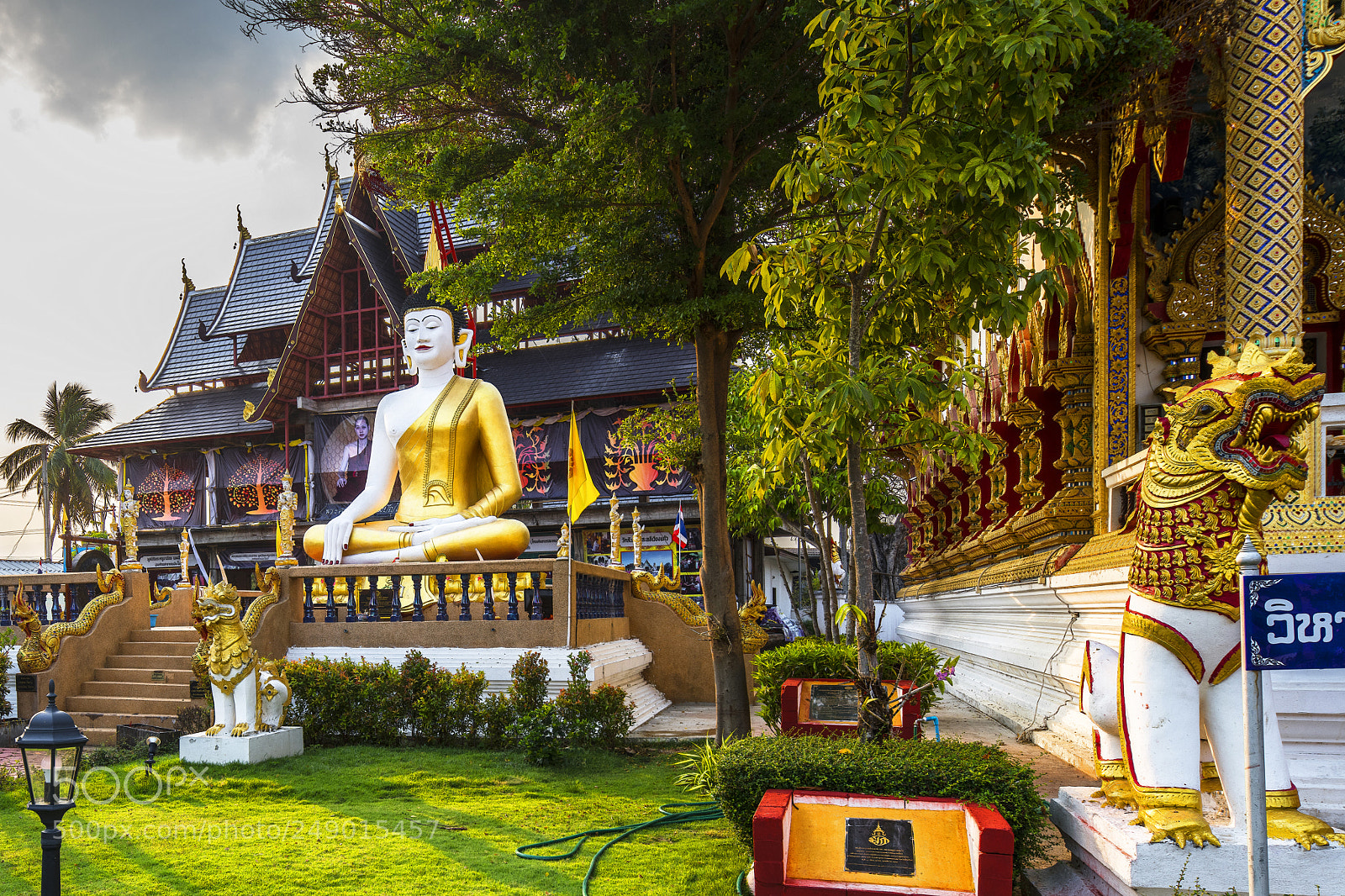 Nikon D850 sample photo. Wat san pu loei photography