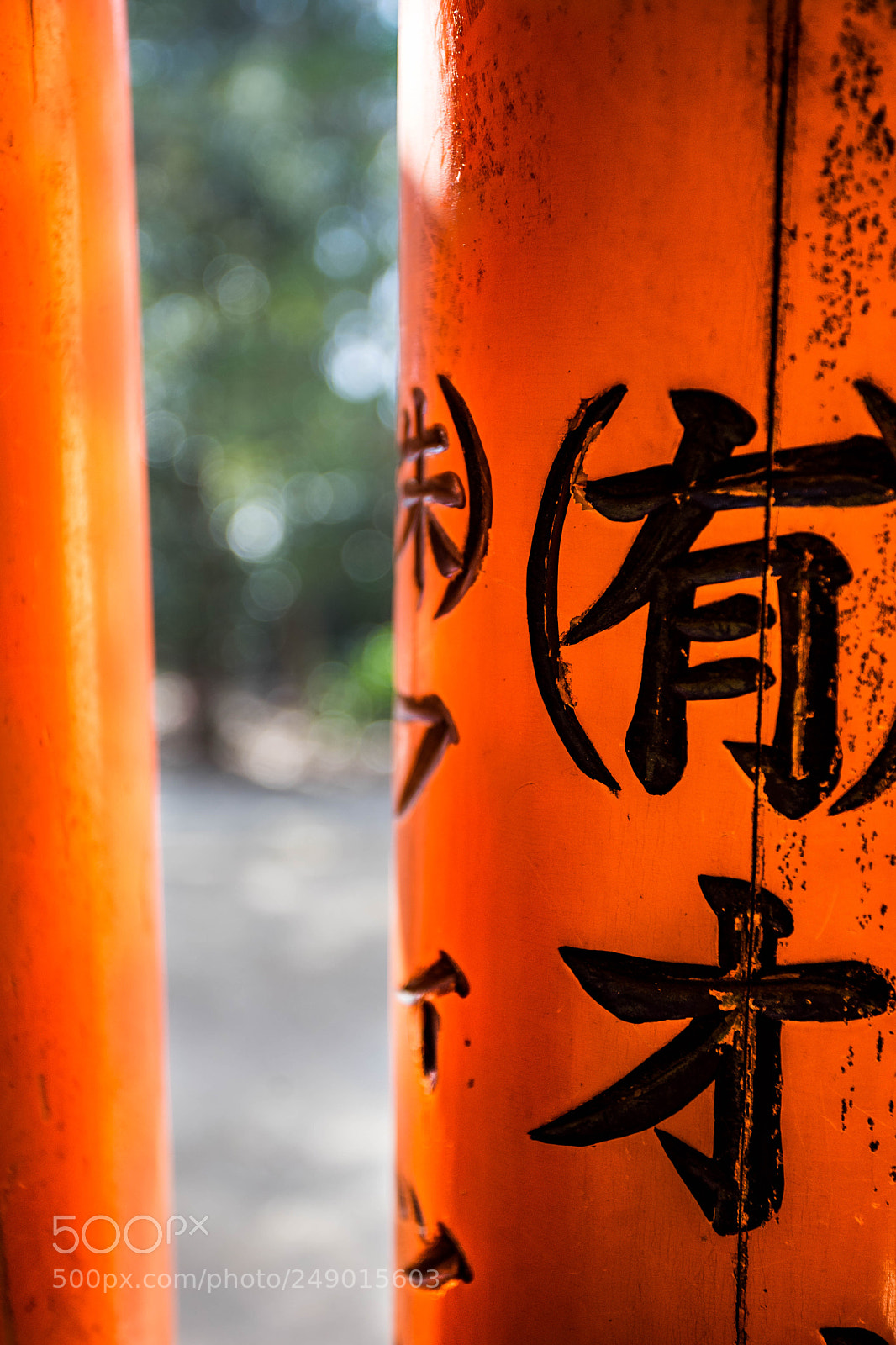 Sony a7 II sample photo. () photography