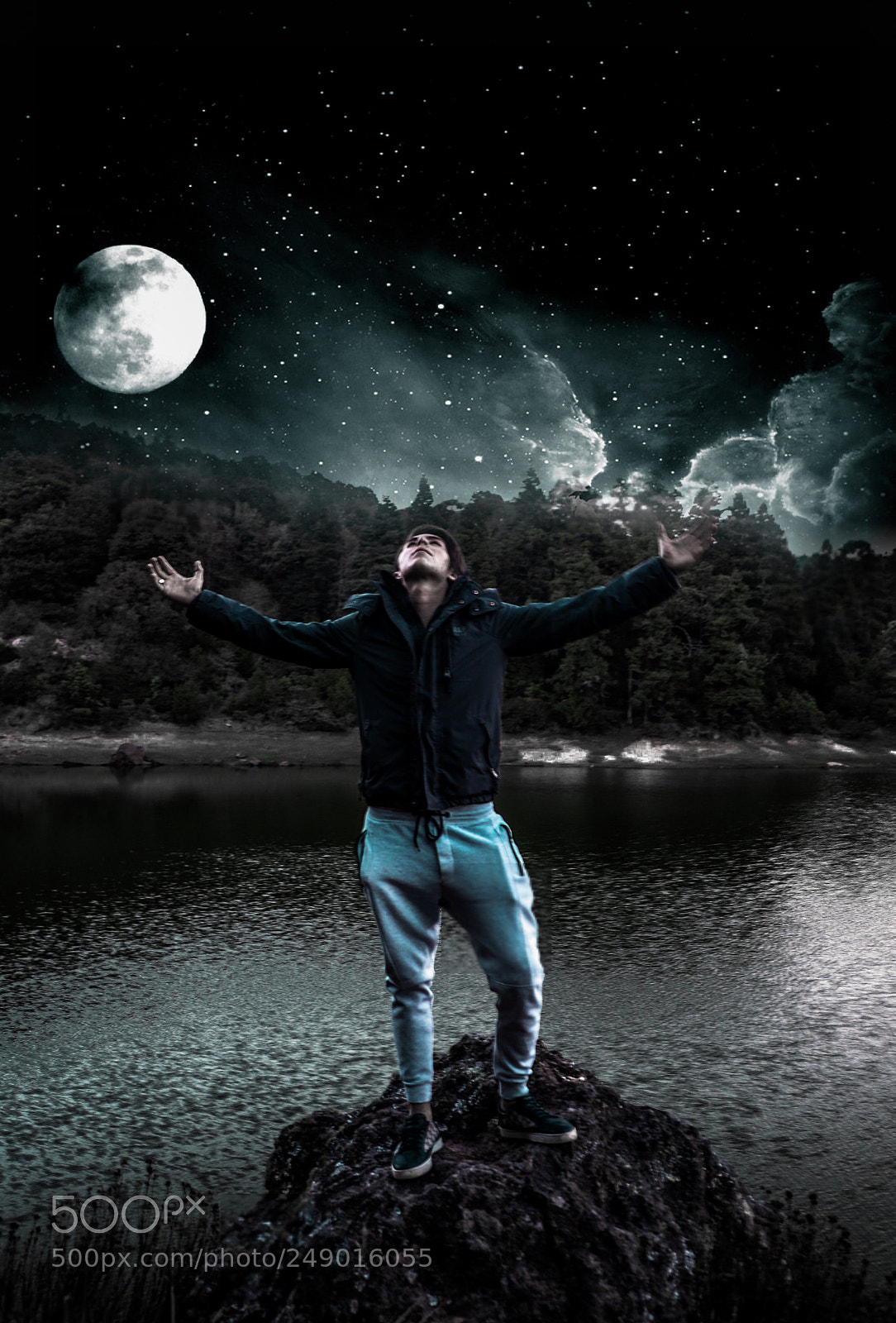 Canon EOS 6D Mark II sample photo. King of the night... photography