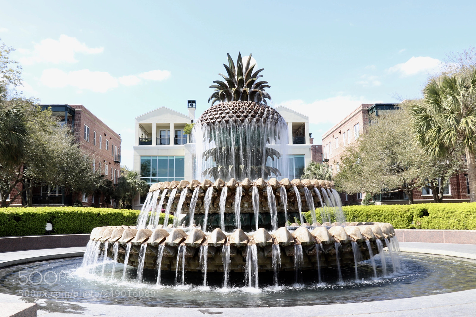 Canon EOS 800D (EOS Rebel T7i / EOS Kiss X9i) sample photo. Charleston pineapple fountain photography