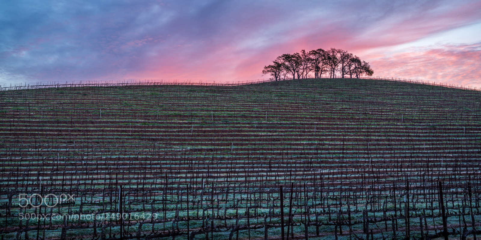 Sony a7R III sample photo. Kunde sunrise photography