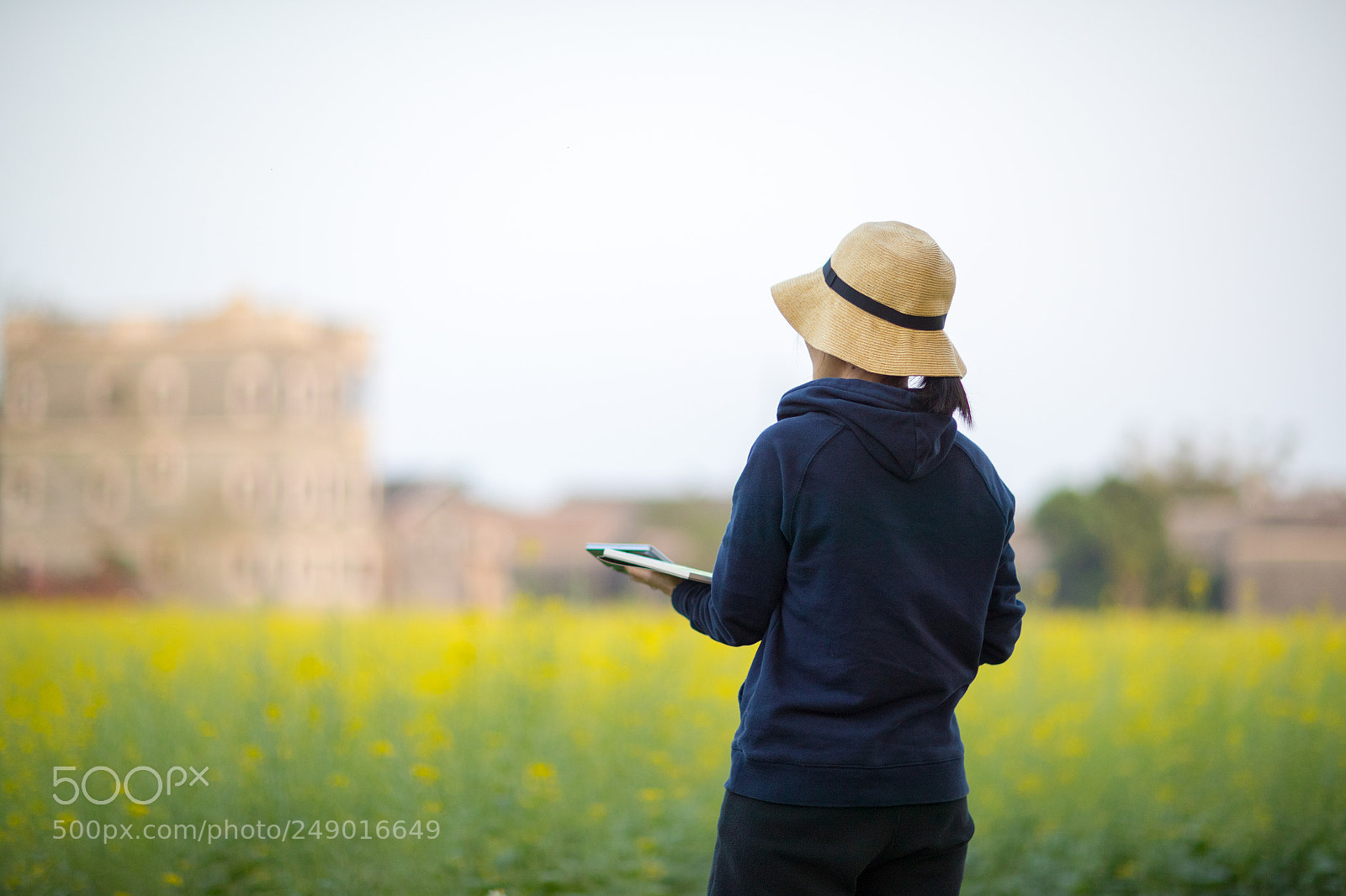 Canon EOS-1D X Mark II sample photo. Untitled photography