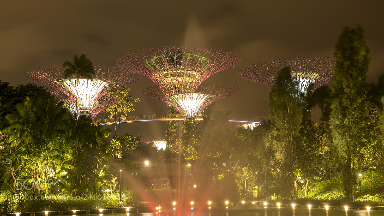 Sony a7S II sample photo. Garden by the bay photography