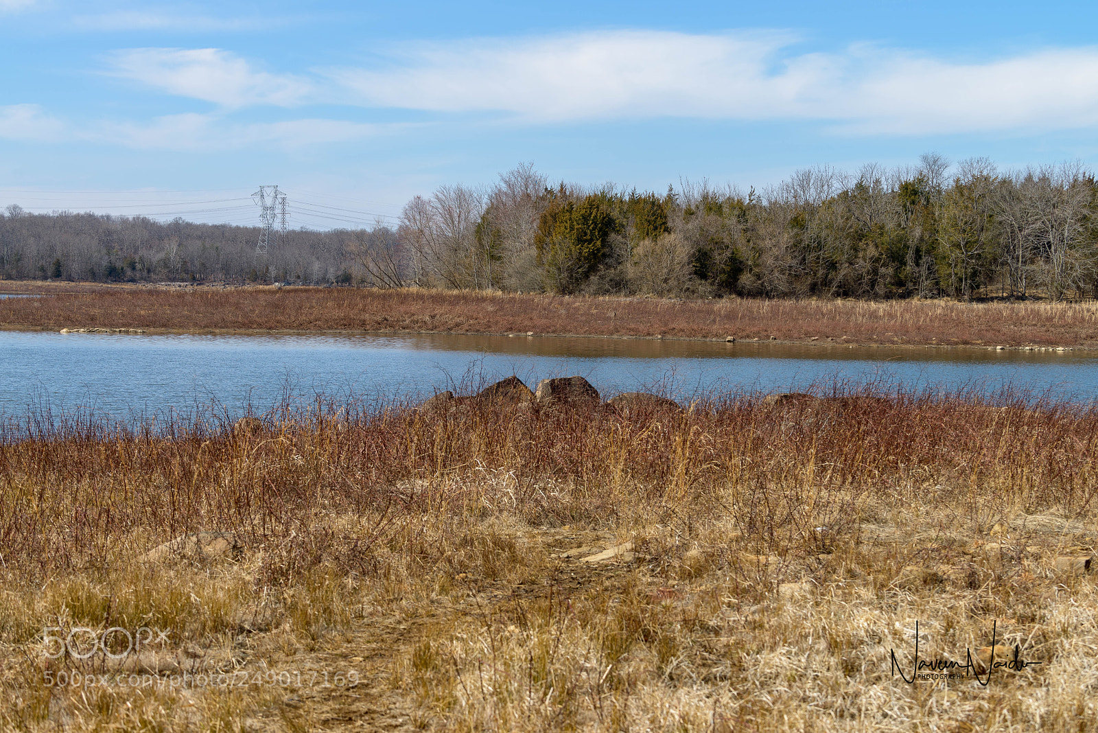 Nikon D800 sample photo. Water by the reeds photography
