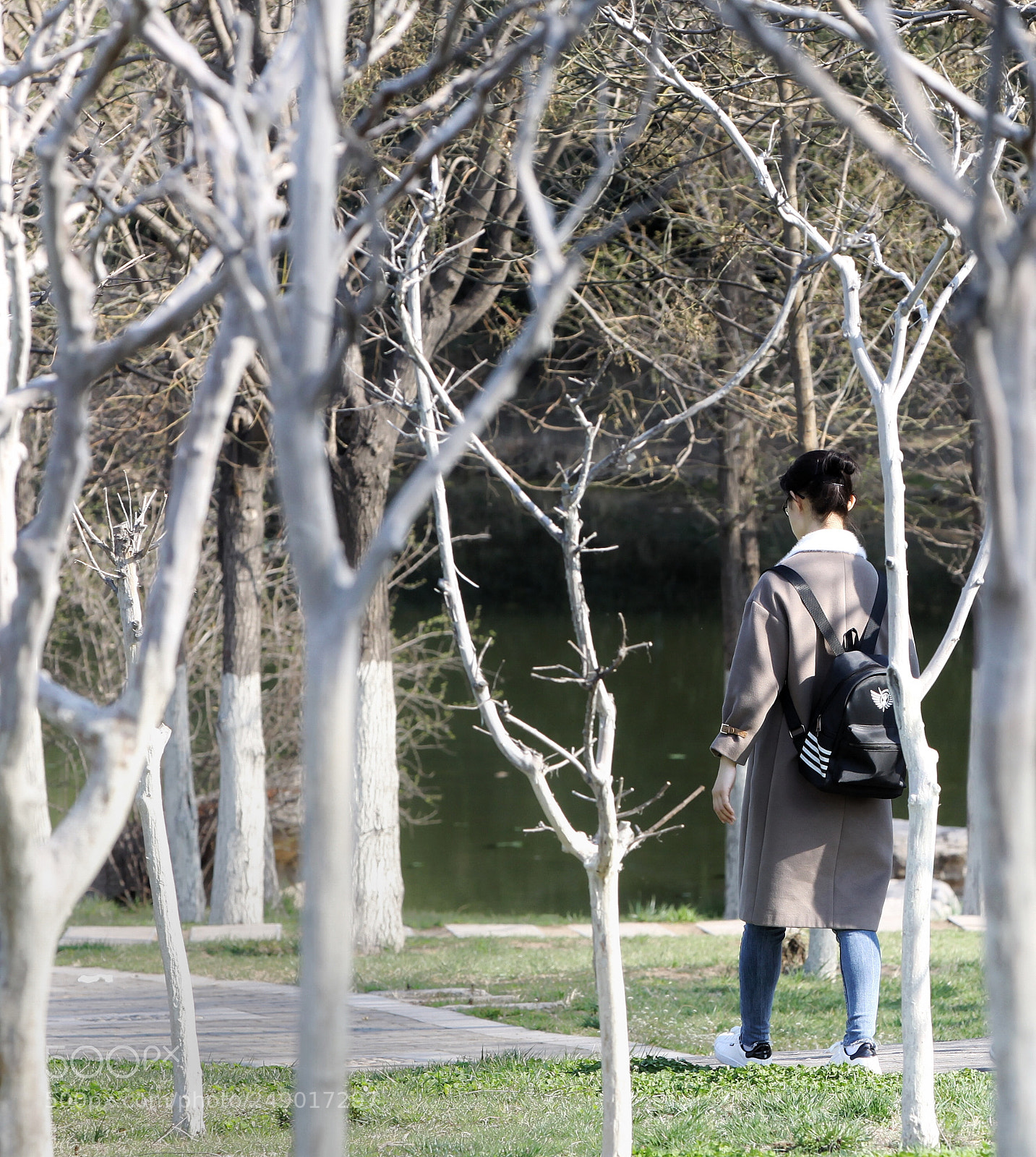 Canon EOS 50D sample photo. 季节的骨感 photography