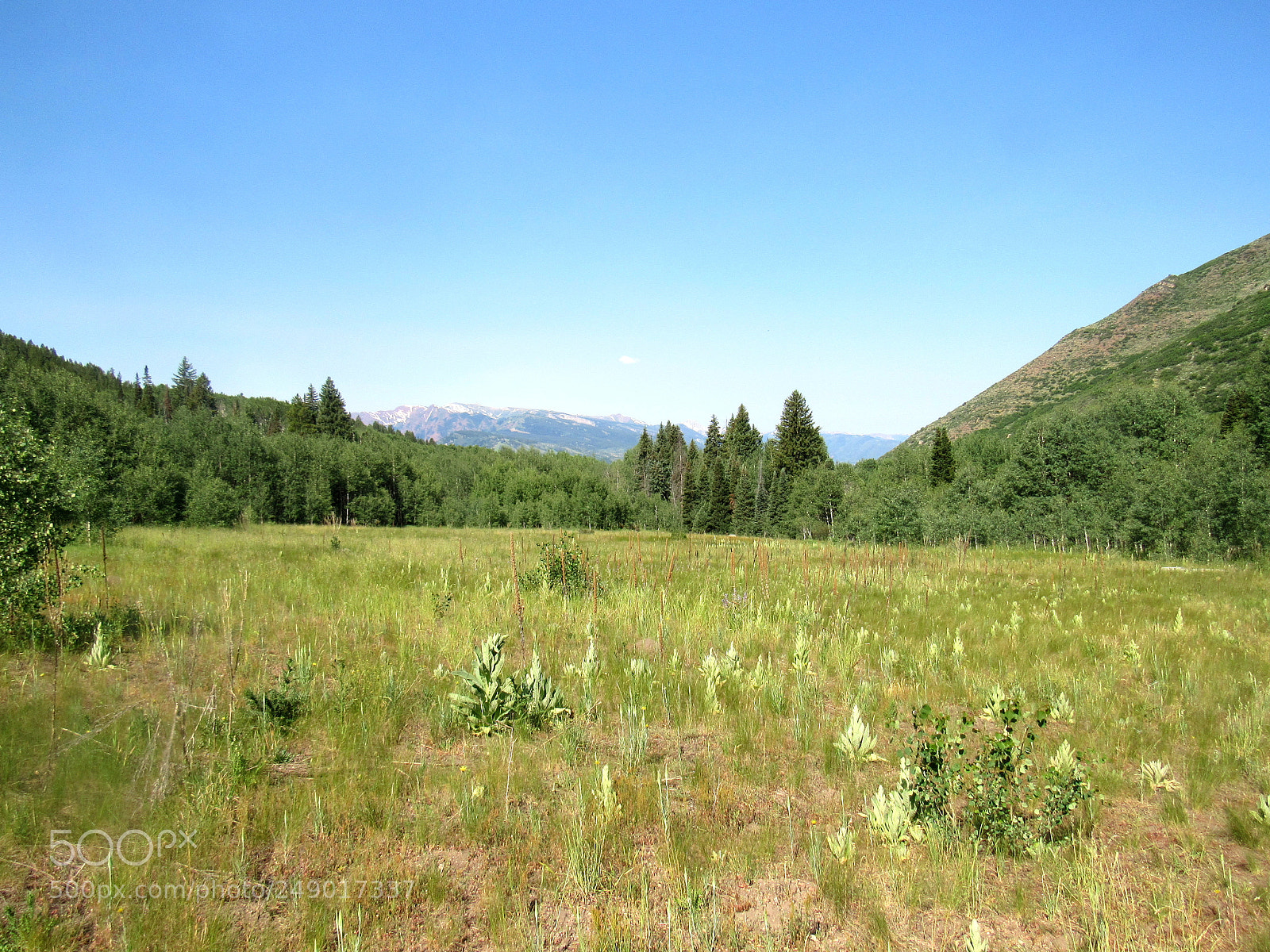 Canon PowerShot SX520 HS sample photo. Hunter creek field photography