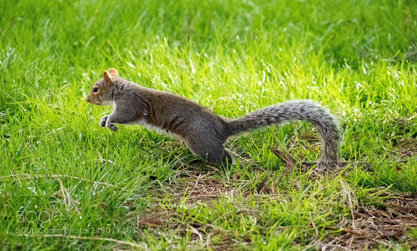 Canon EOS 7D Mark II sample photo. Who - me? photography