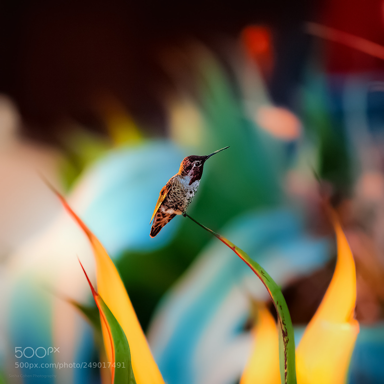 Canon EOS 5D sample photo. Perch photography