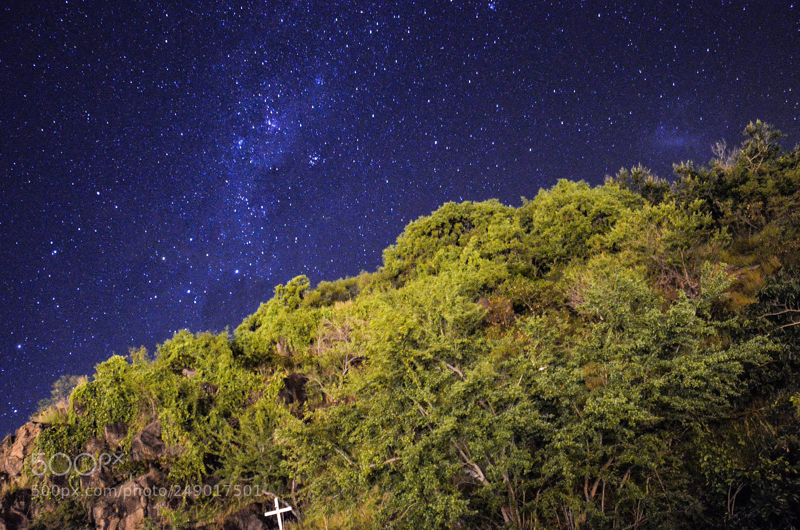 Nikon D5100 sample photo. Elevation photography
