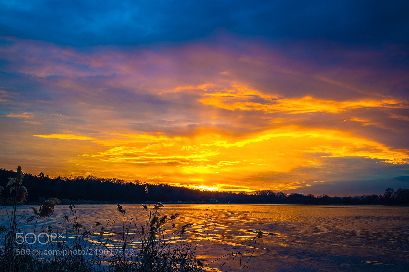 Sony a7R III sample photo. Follow the sunbeams photography