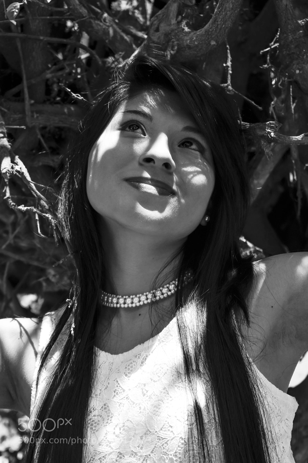 Nikon D5600 sample photo. Entre ramas photography