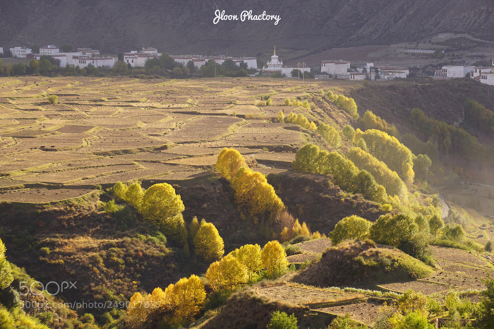 Sony a6000 sample photo. Autumn in xiangcheng, sichuan. photography