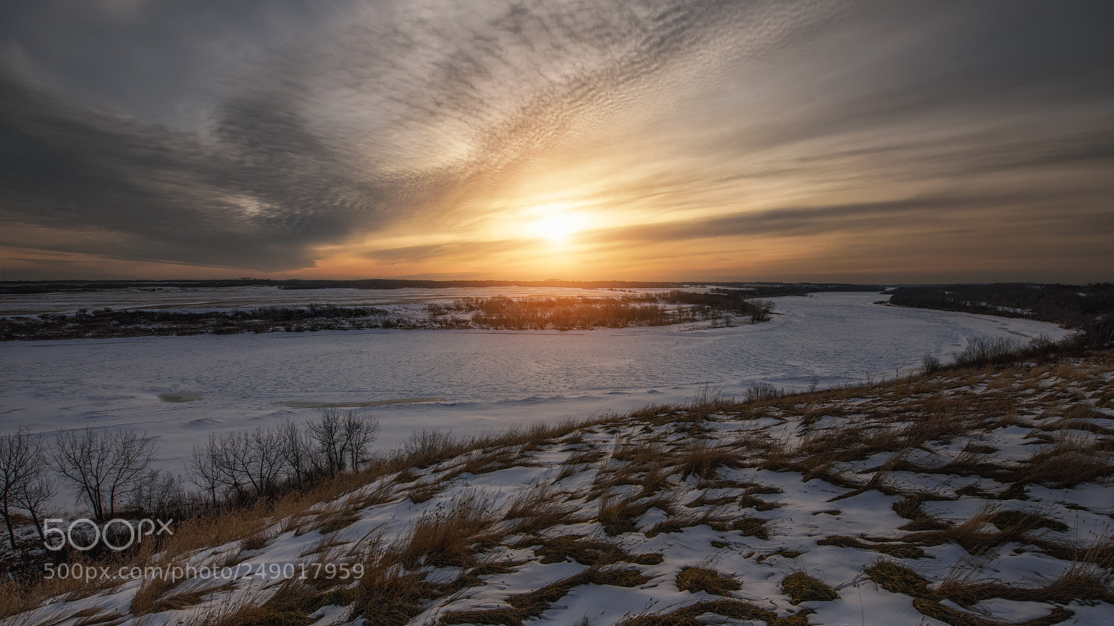 Nikon D810 sample photo. Fields of sorrow photography