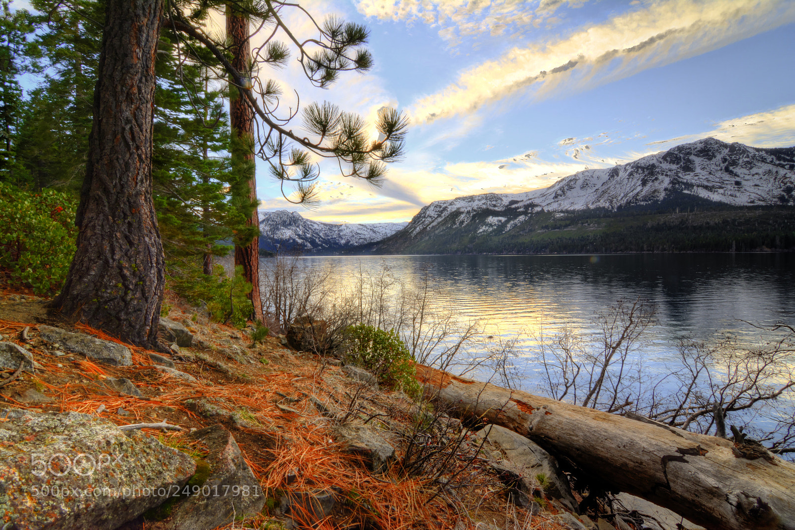 Nikon D5200 sample photo. Fallen leaf lake photography