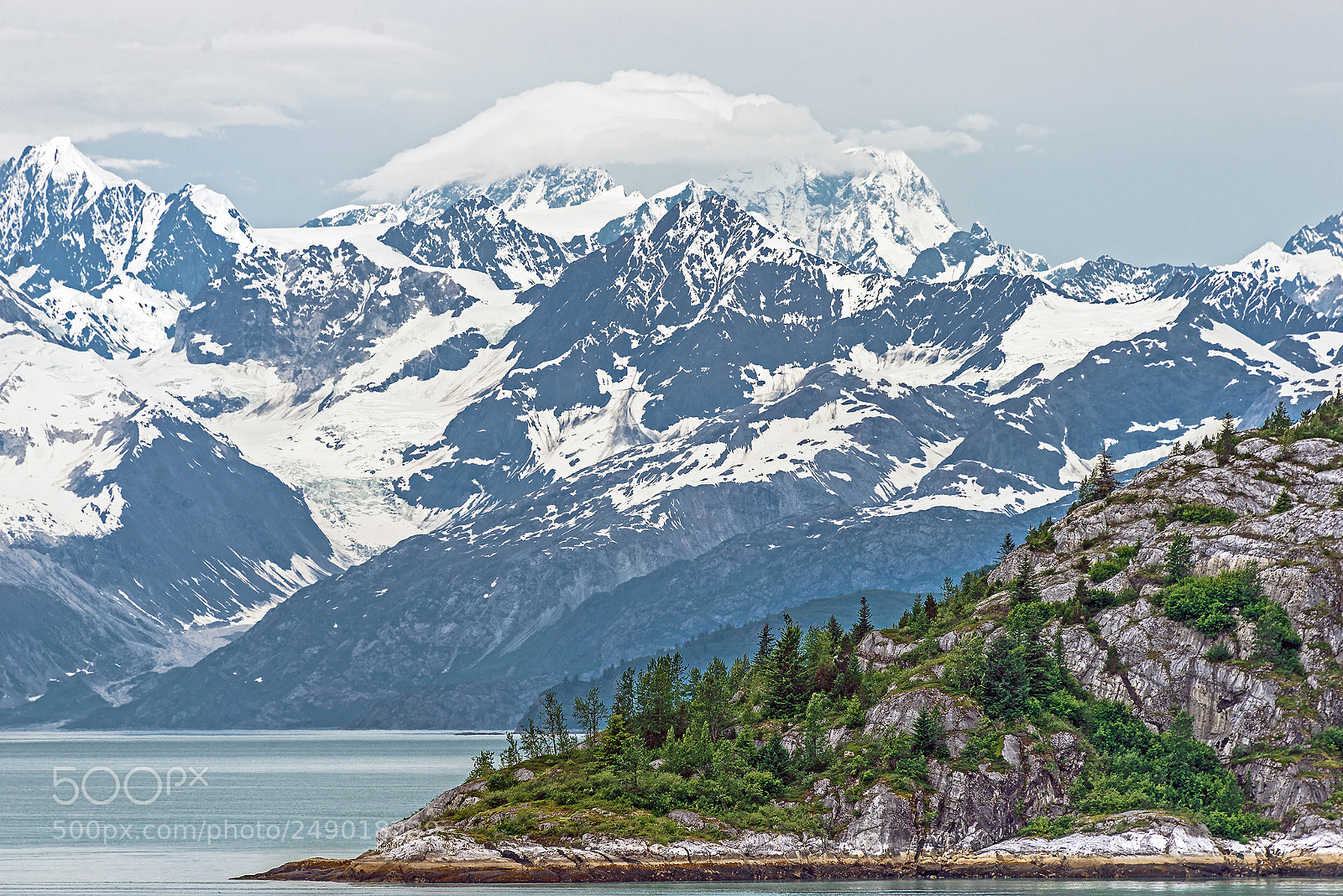 Nikon D610 sample photo. The summer contrasts of photography