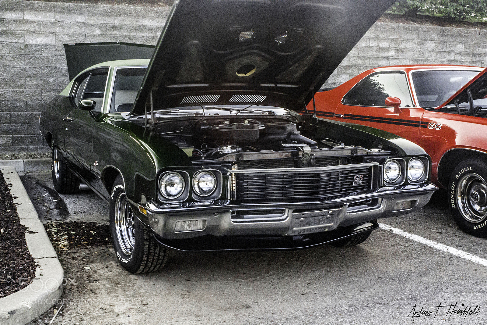 Canon EOS 600D (Rebel EOS T3i / EOS Kiss X5) sample photo. Buick gs photography