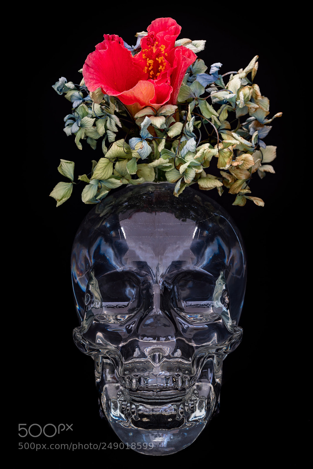 Sony a6500 sample photo. Flor de los muertos photography