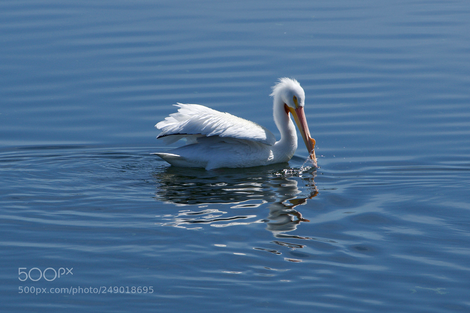 Sony a6000 sample photo. Waves and reflections photography