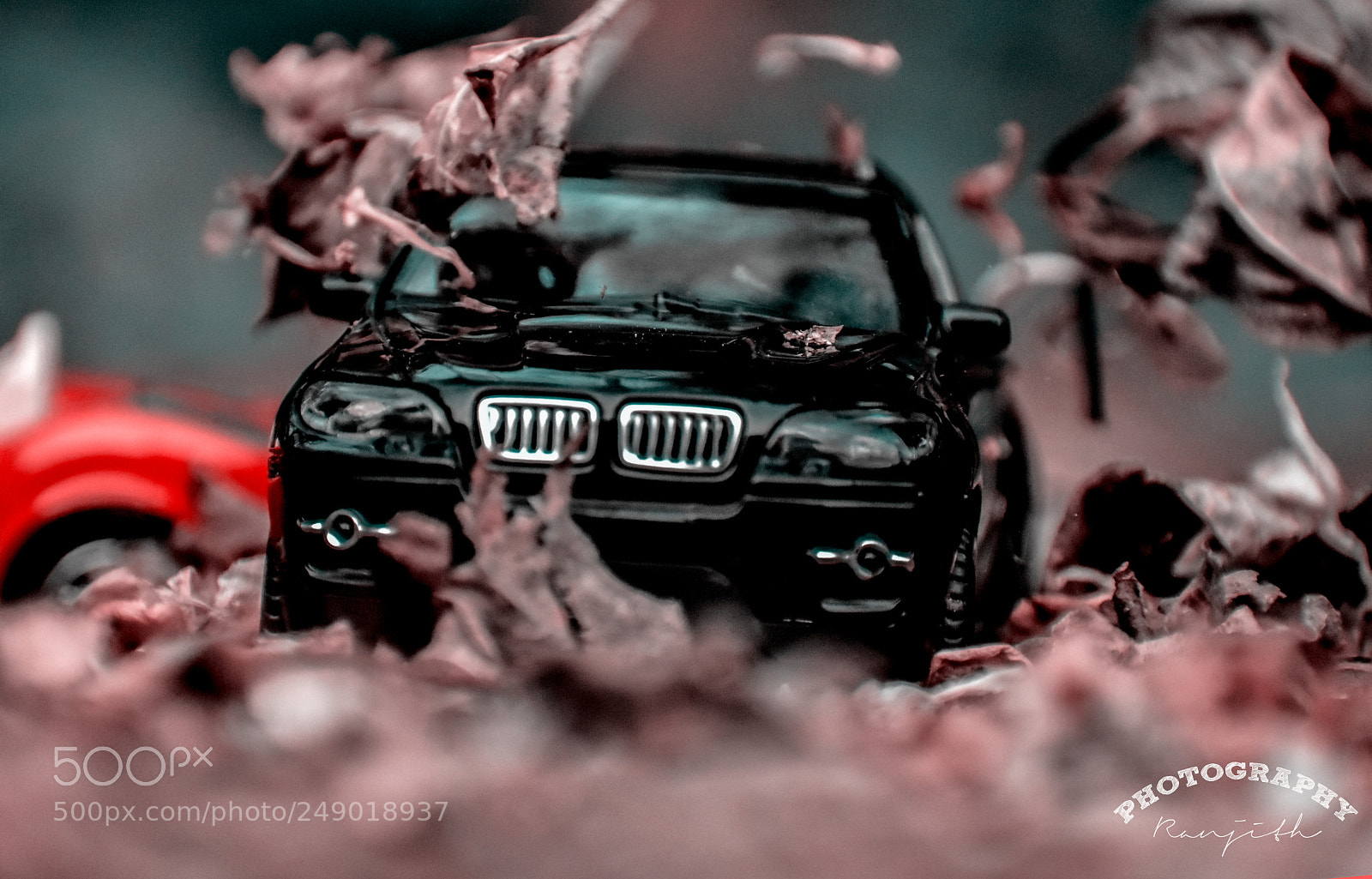 Nikon D5600 sample photo. Bmw macro photography photography
