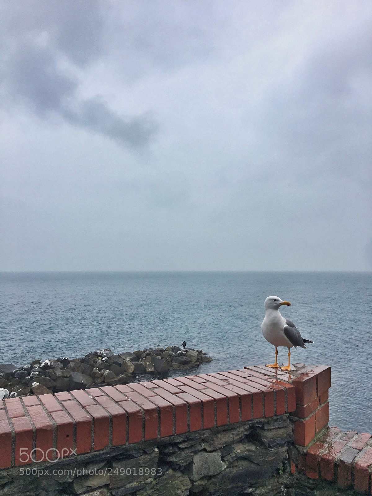 Apple iPhone 6s Plus sample photo. Cinque terre photography
