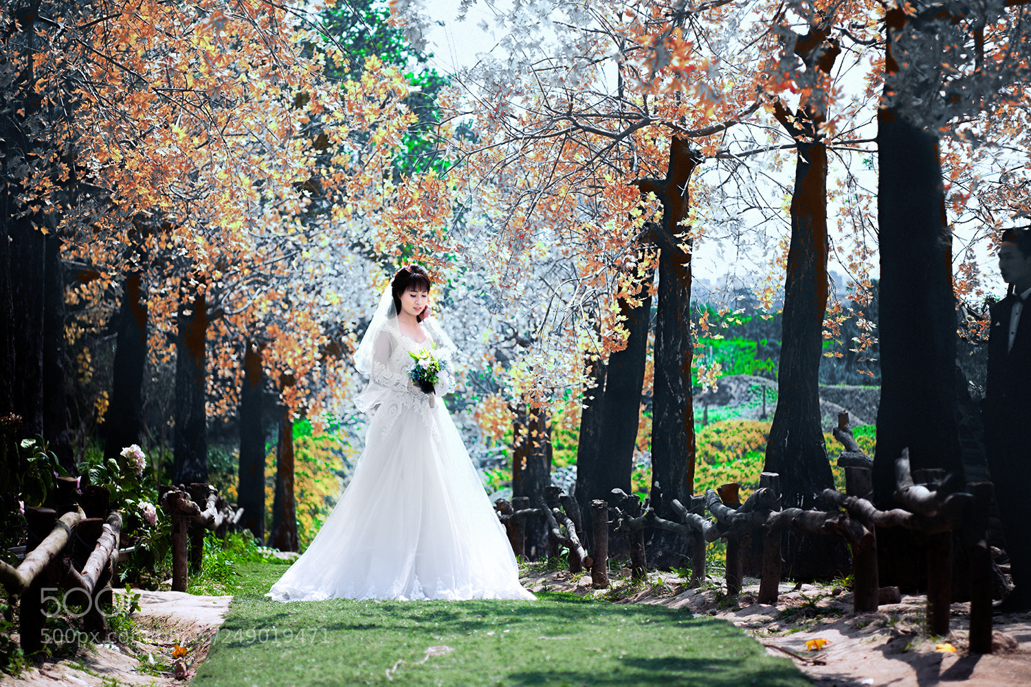 Canon EOS-1Ds Mark III sample photo. 1033362.jpg photography