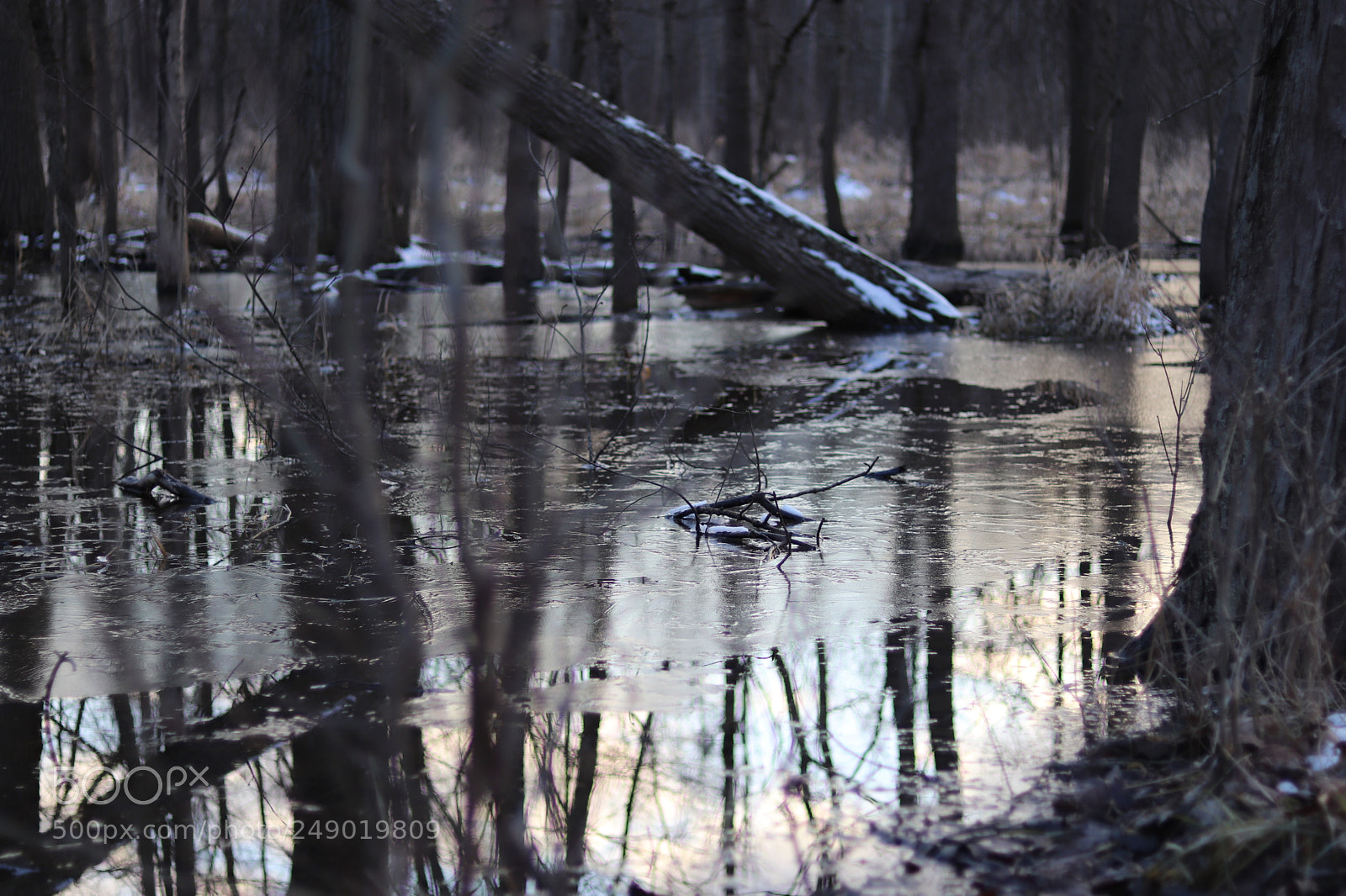 Canon EOS 77D (EOS 9000D / EOS 770D) + Canon EF 50mm F1.8 STM sample photo. Reflections photography