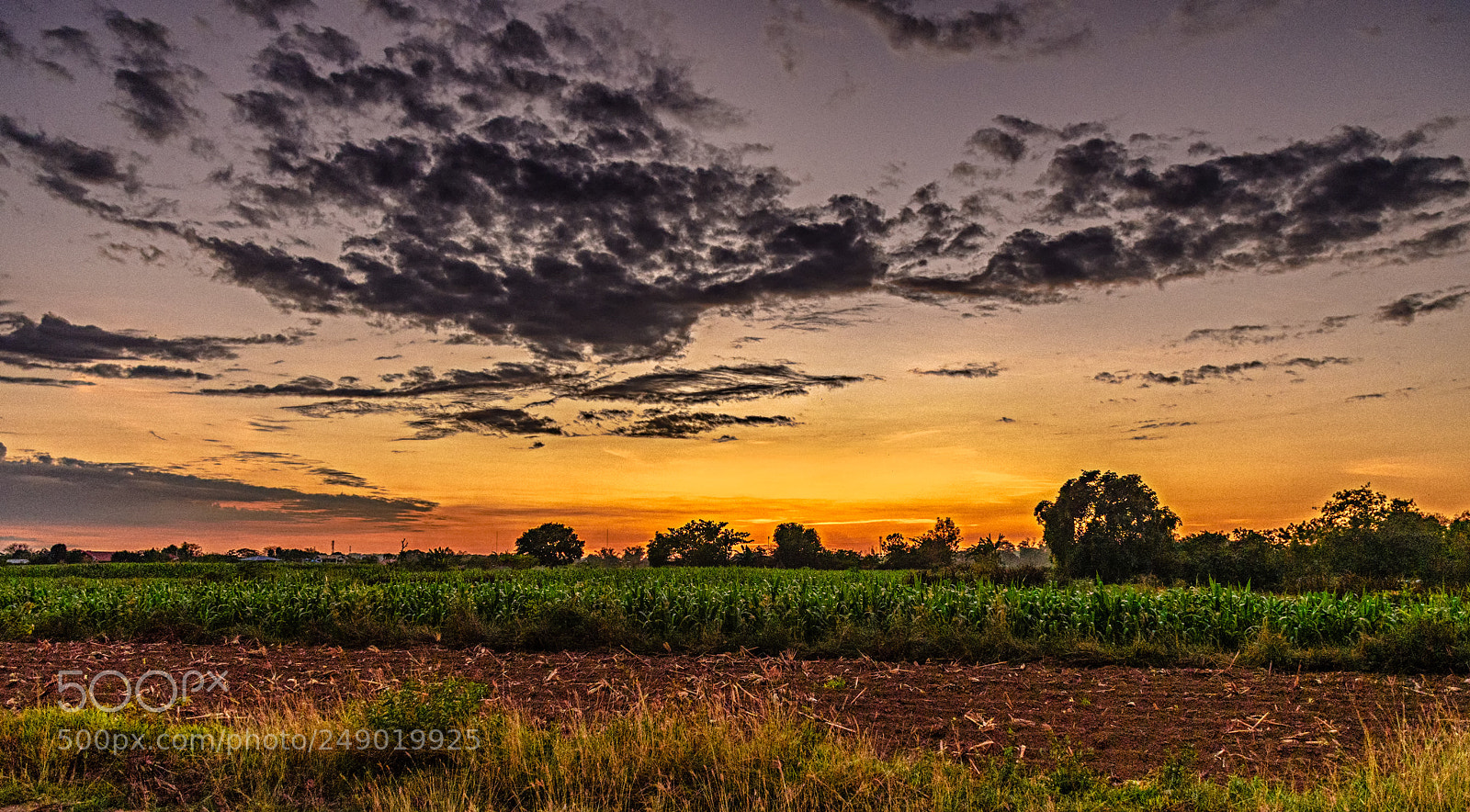 Nikon D500 sample photo. Rural sunset photography