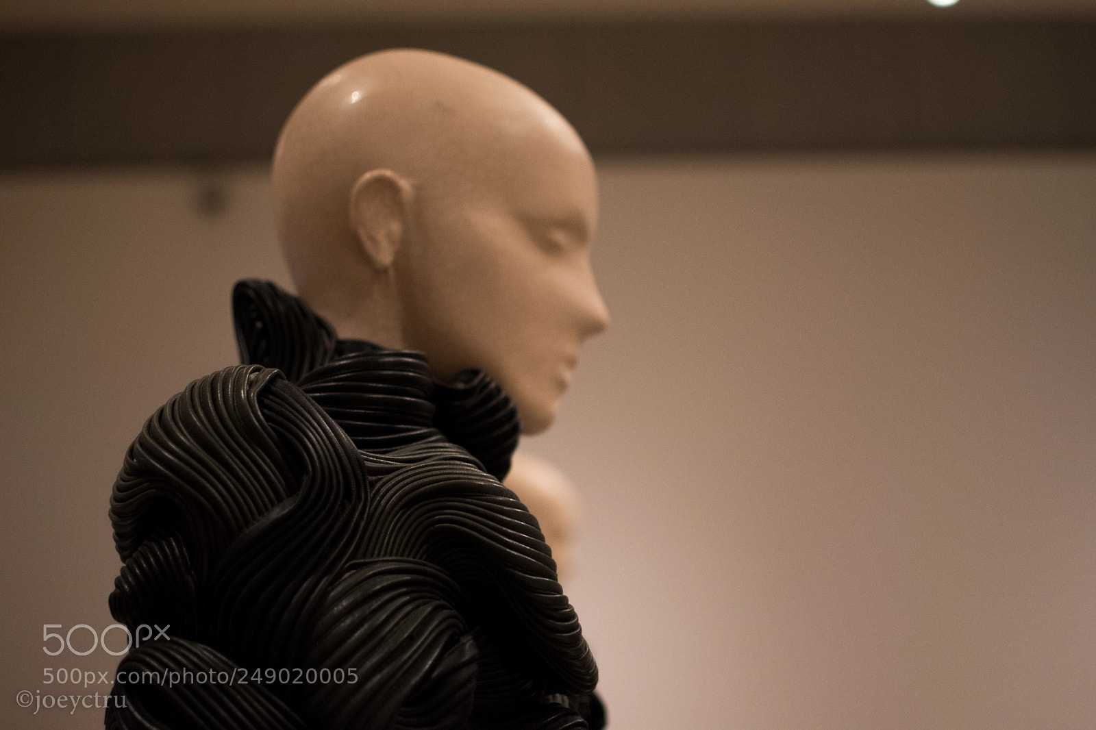 Nikon D5500 sample photo. Museum figure photography
