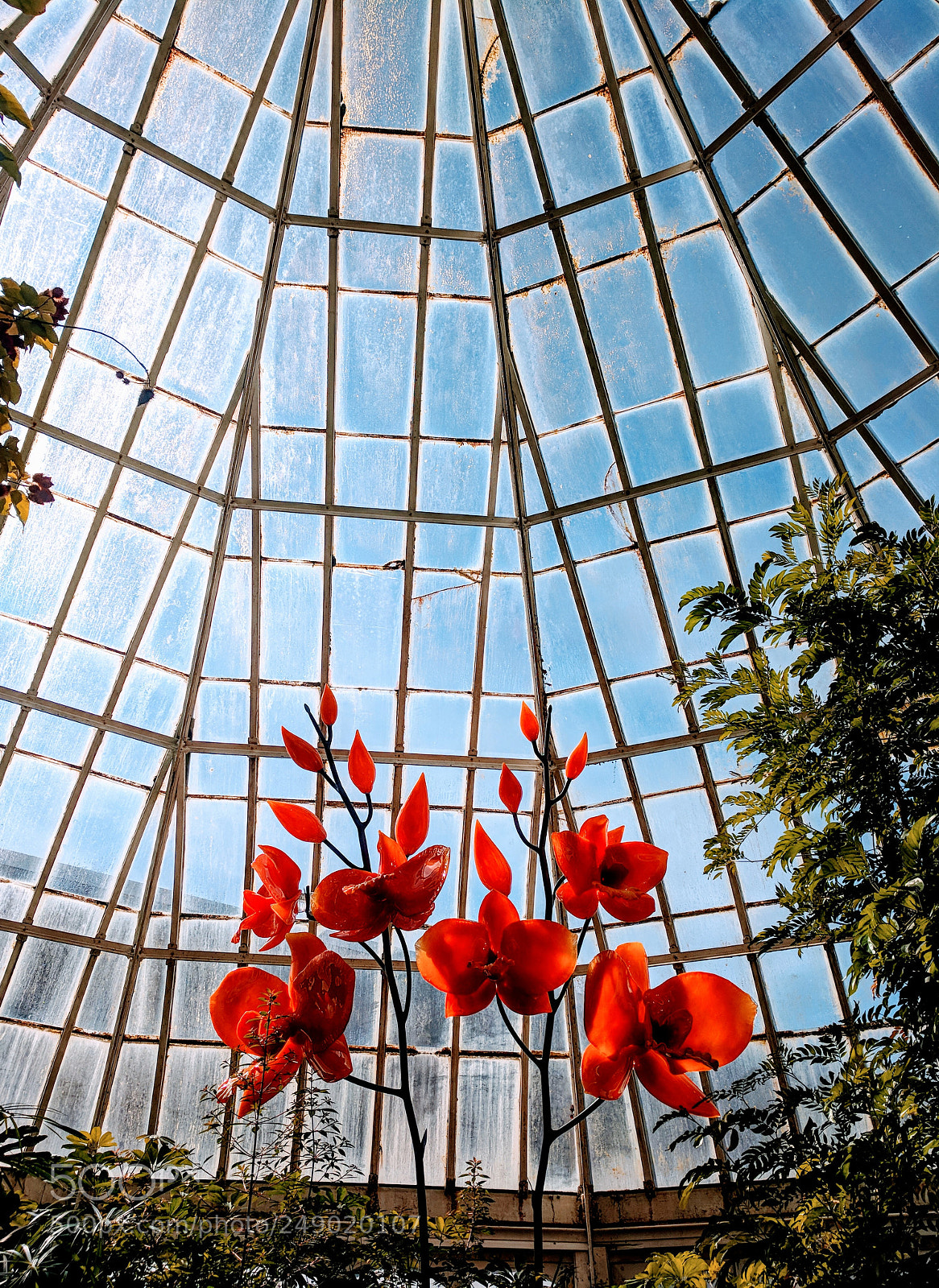 Google Pixel XL sample photo. Phipps conservatory photography