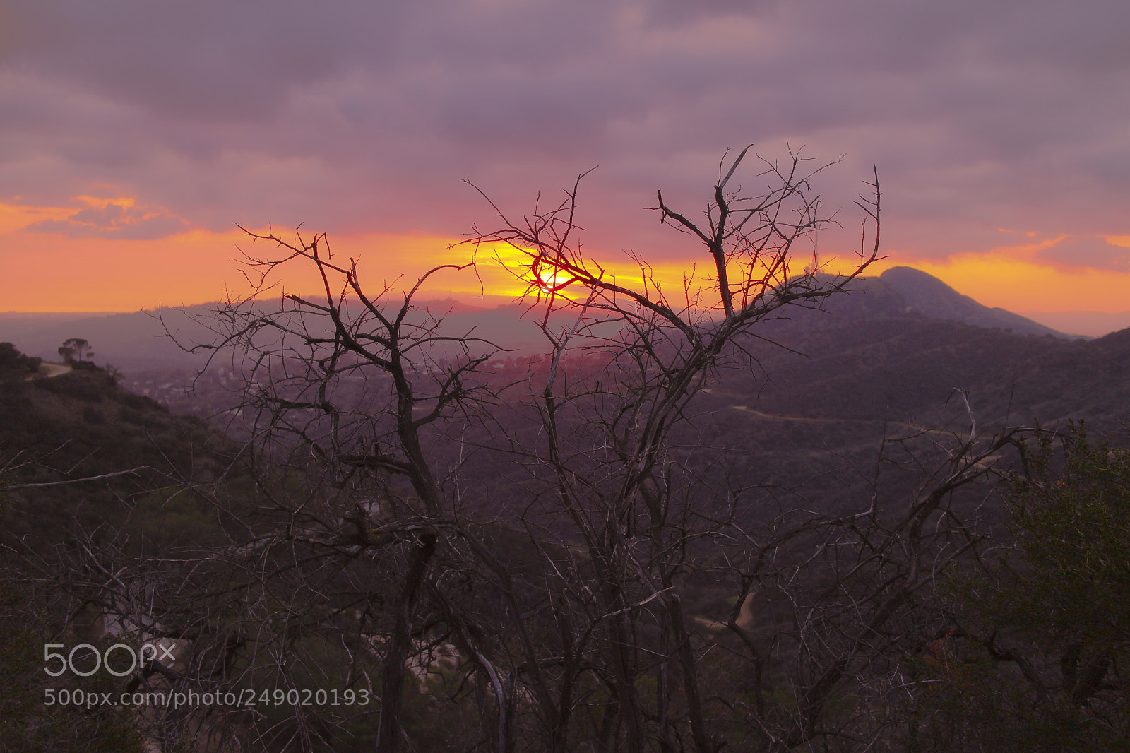 Canon EOS M sample photo. Sunset behind hollywood sign photography