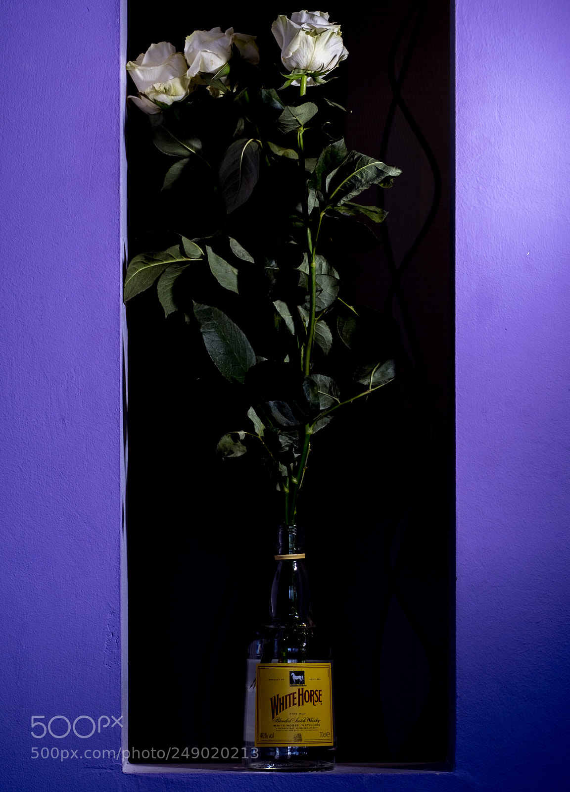 Fujifilm X-T10 sample photo. праздничное настроение photography