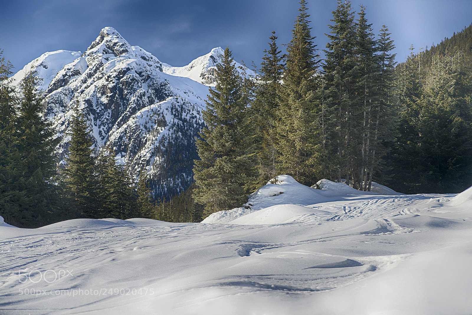 Nikon D610 sample photo. Winter backcountry access photography