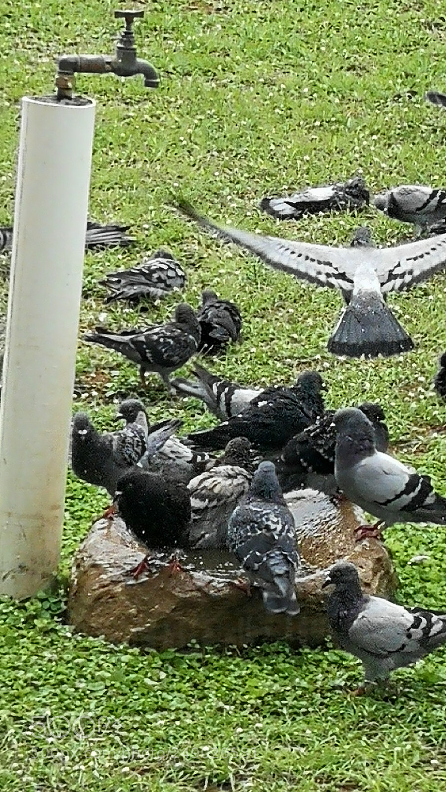 HUAWEI P10 sample photo. Untitled photography