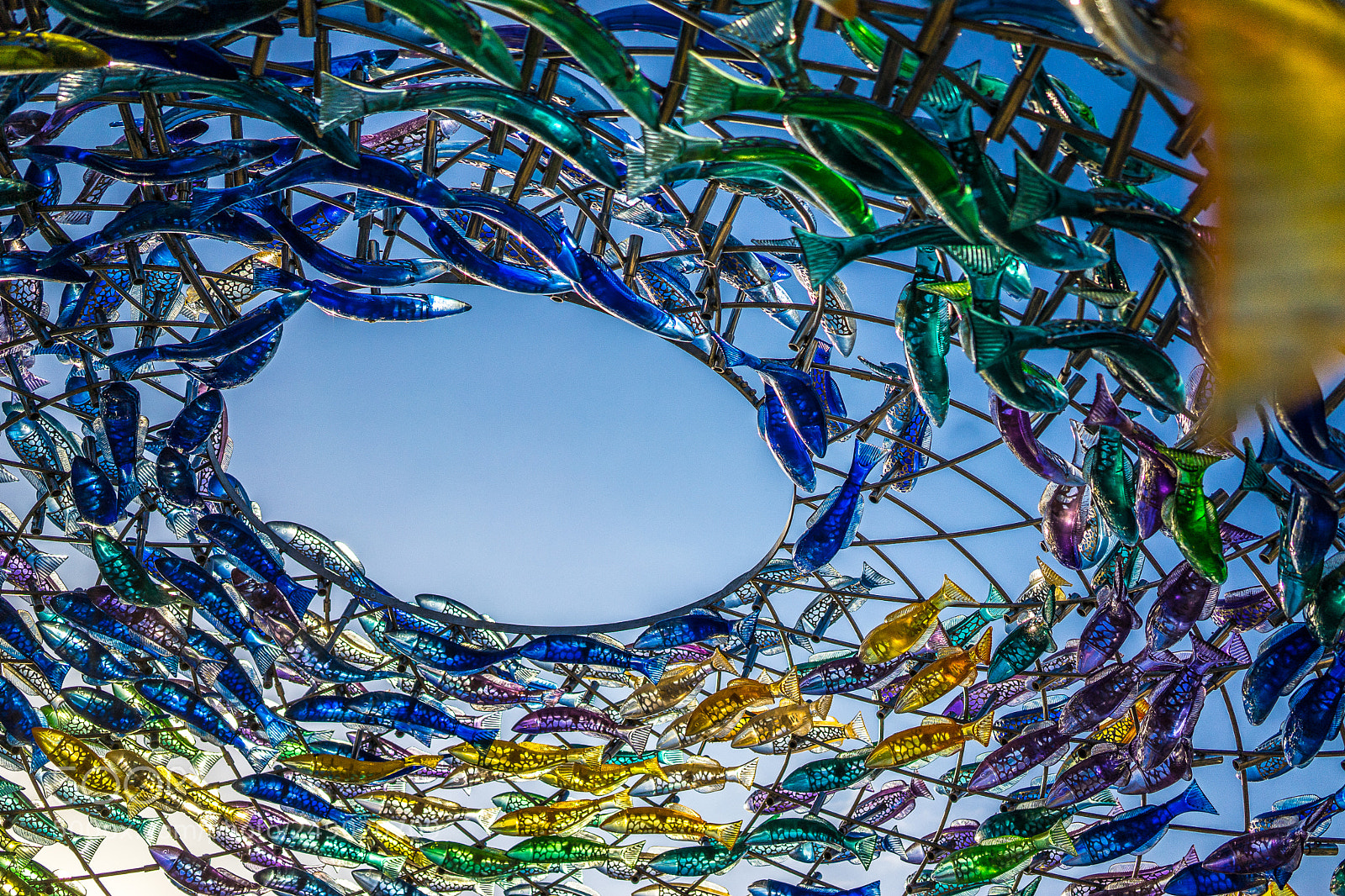 Sony a7 II sample photo. Sculpture by the sea photography