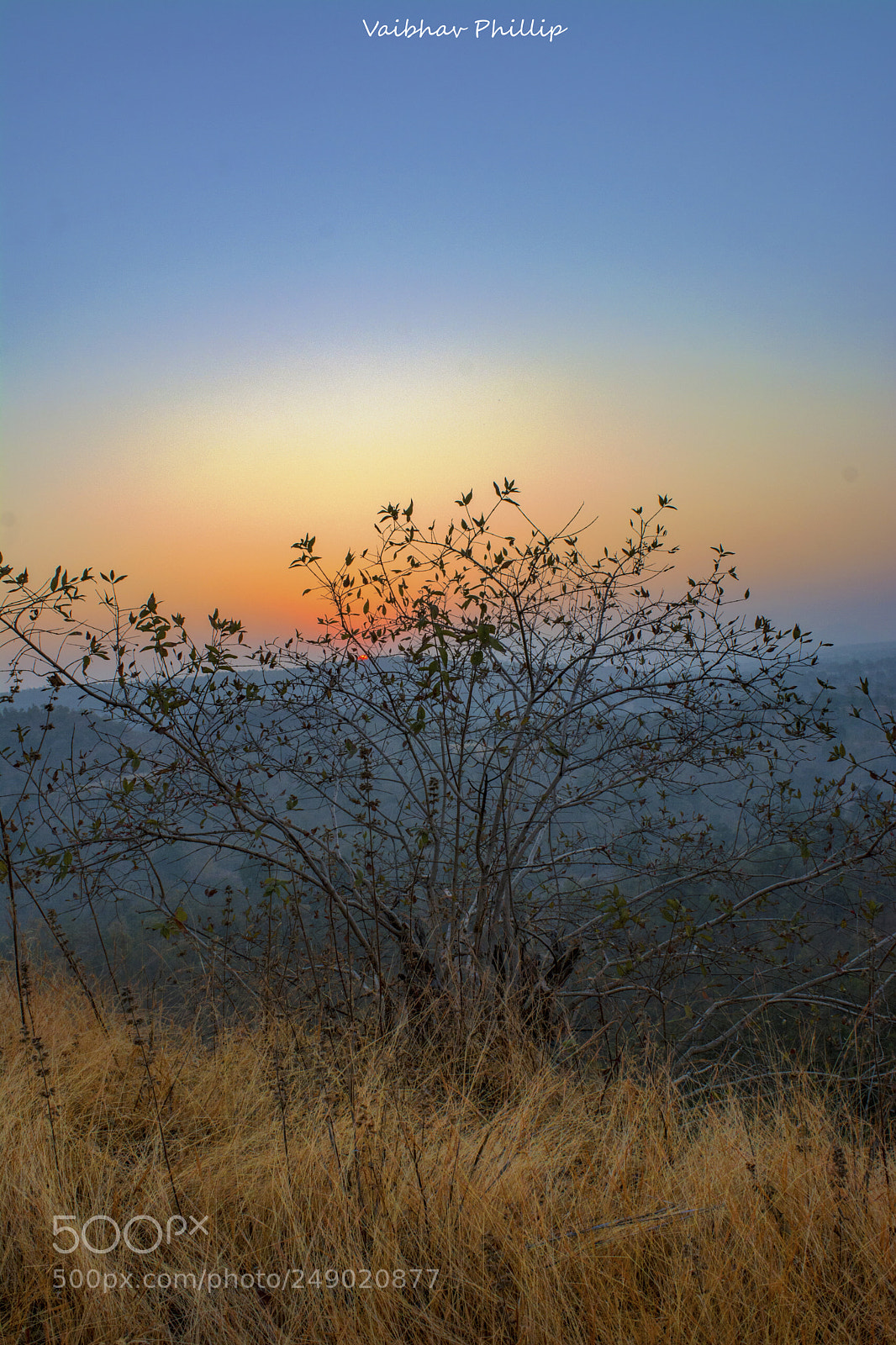 Nikon D5200 sample photo. As the shine of photography