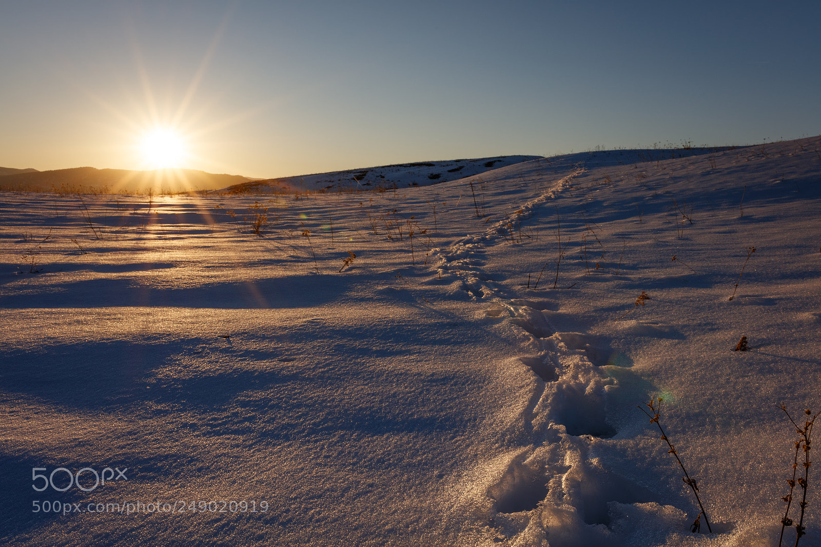 Canon EOS 5DS R sample photo. Icy path photography