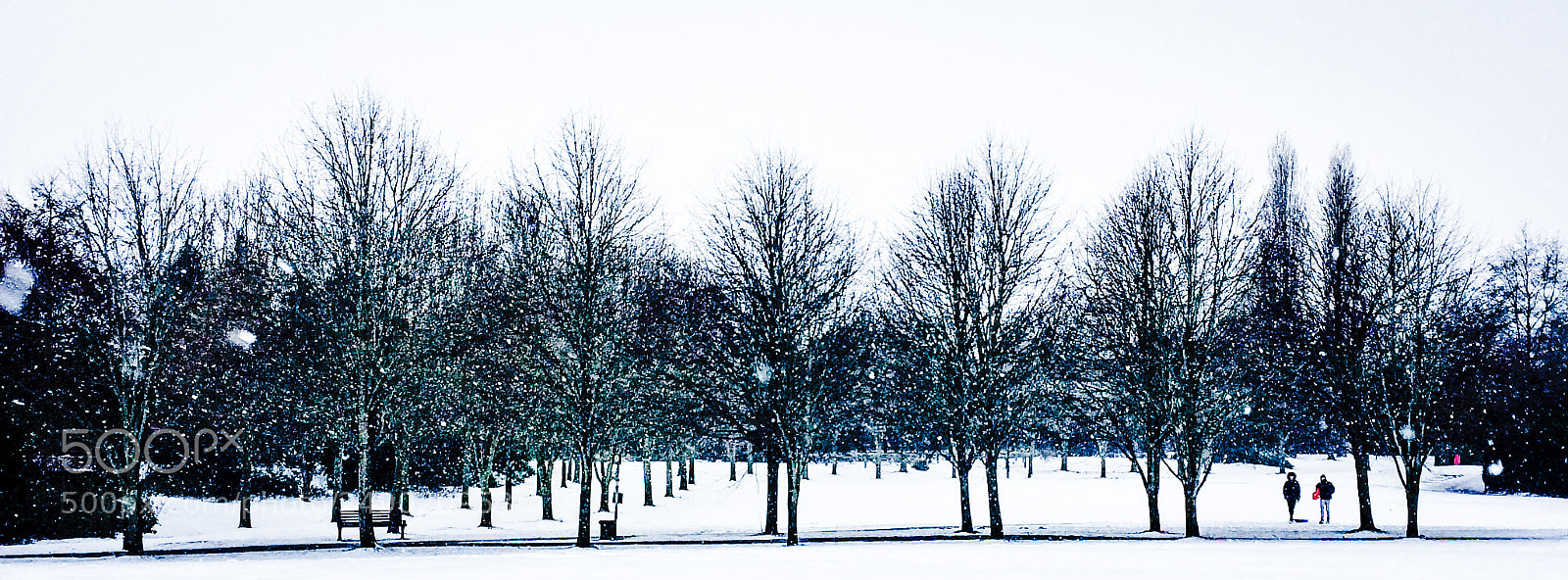 Apple iPhone 5s sample photo. Snow scene photography