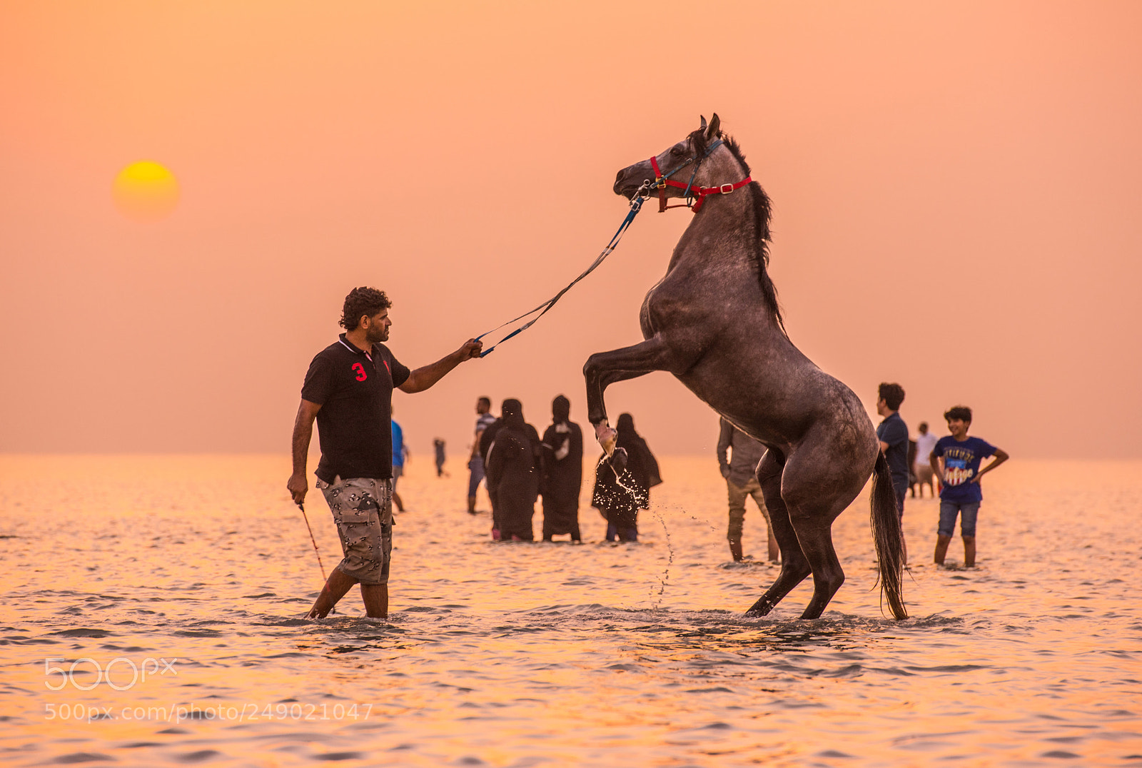 Nikon D810 sample photo. The arab world brigido photography