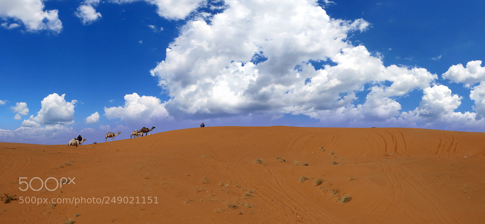 Nikon D800 sample photo. Bda panoramic () photography