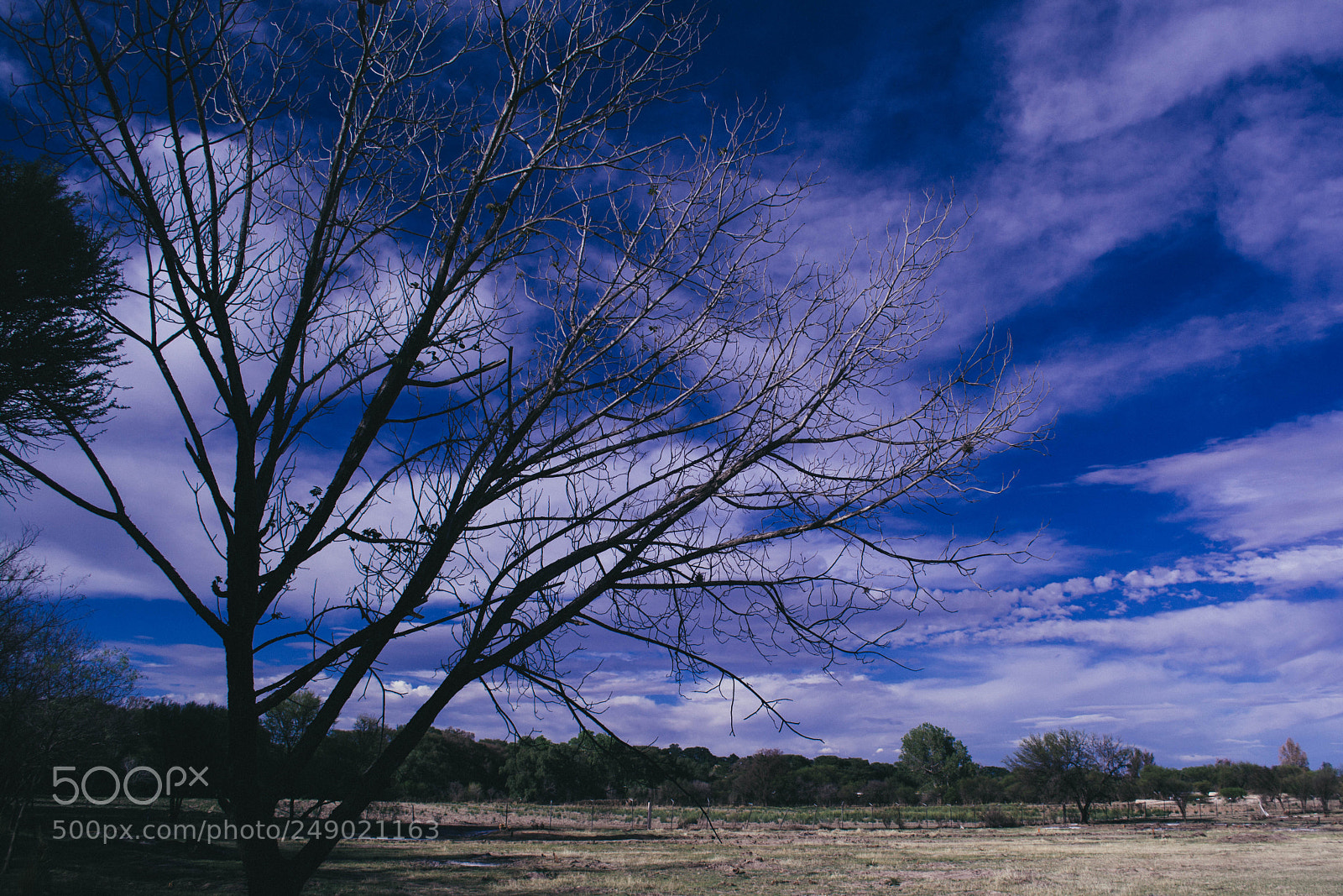 Nikon D5200 sample photo. Paisaje nombre de dios photography