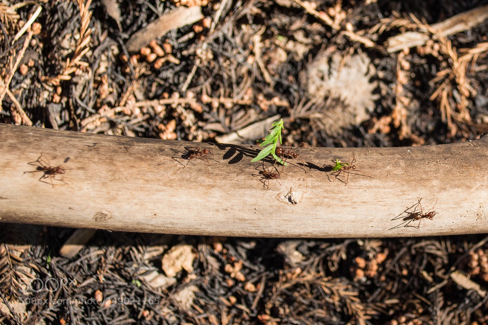 Nikon D5200 sample photo. ¡ sin parar ! photography