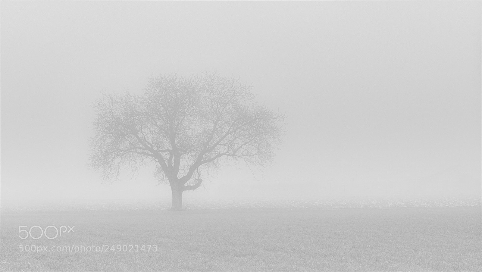 Panasonic Lumix DMC-FZ1000 sample photo. Lost in the mist photography