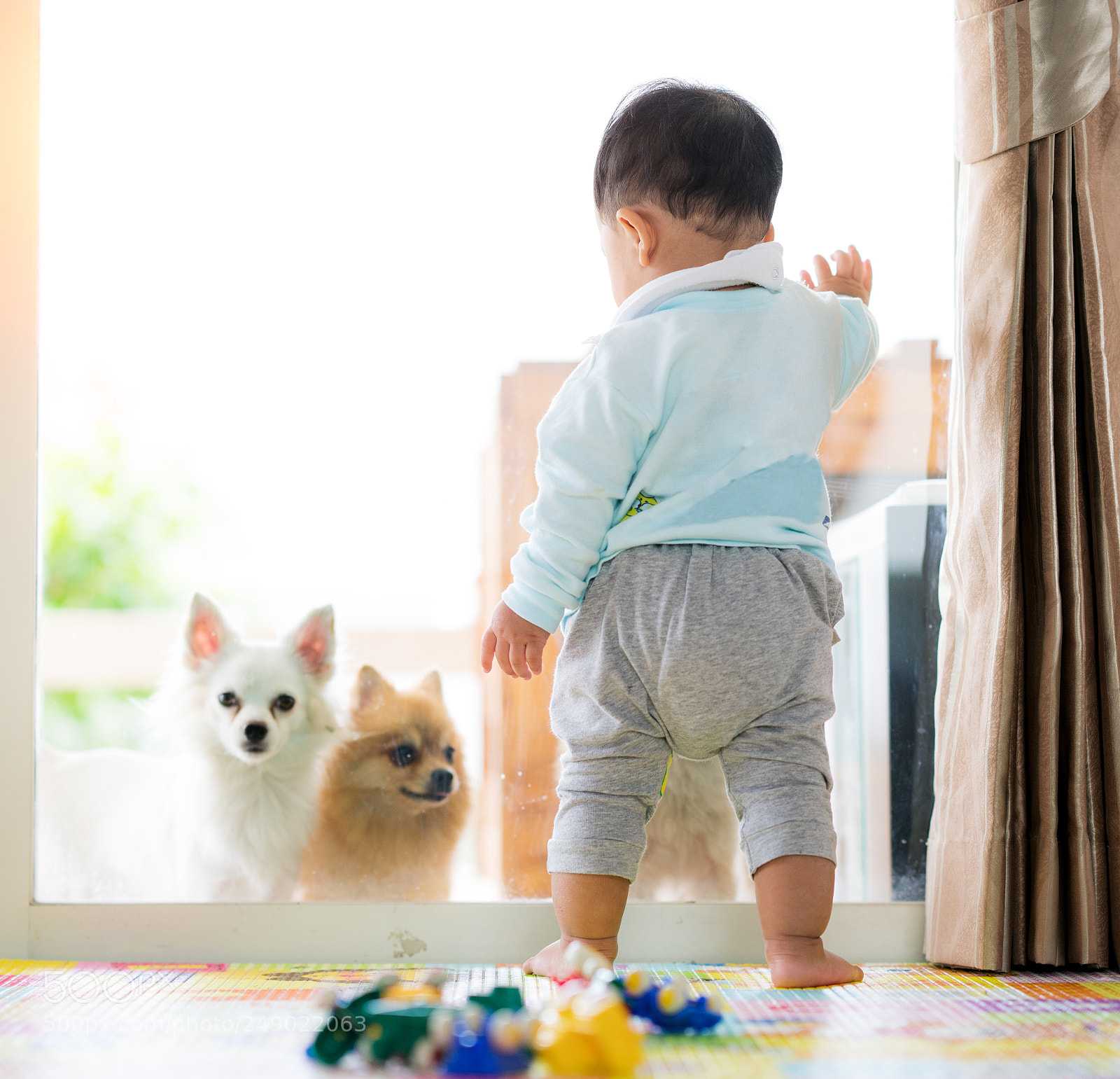 Sony a7R II sample photo. Baby and dog photography