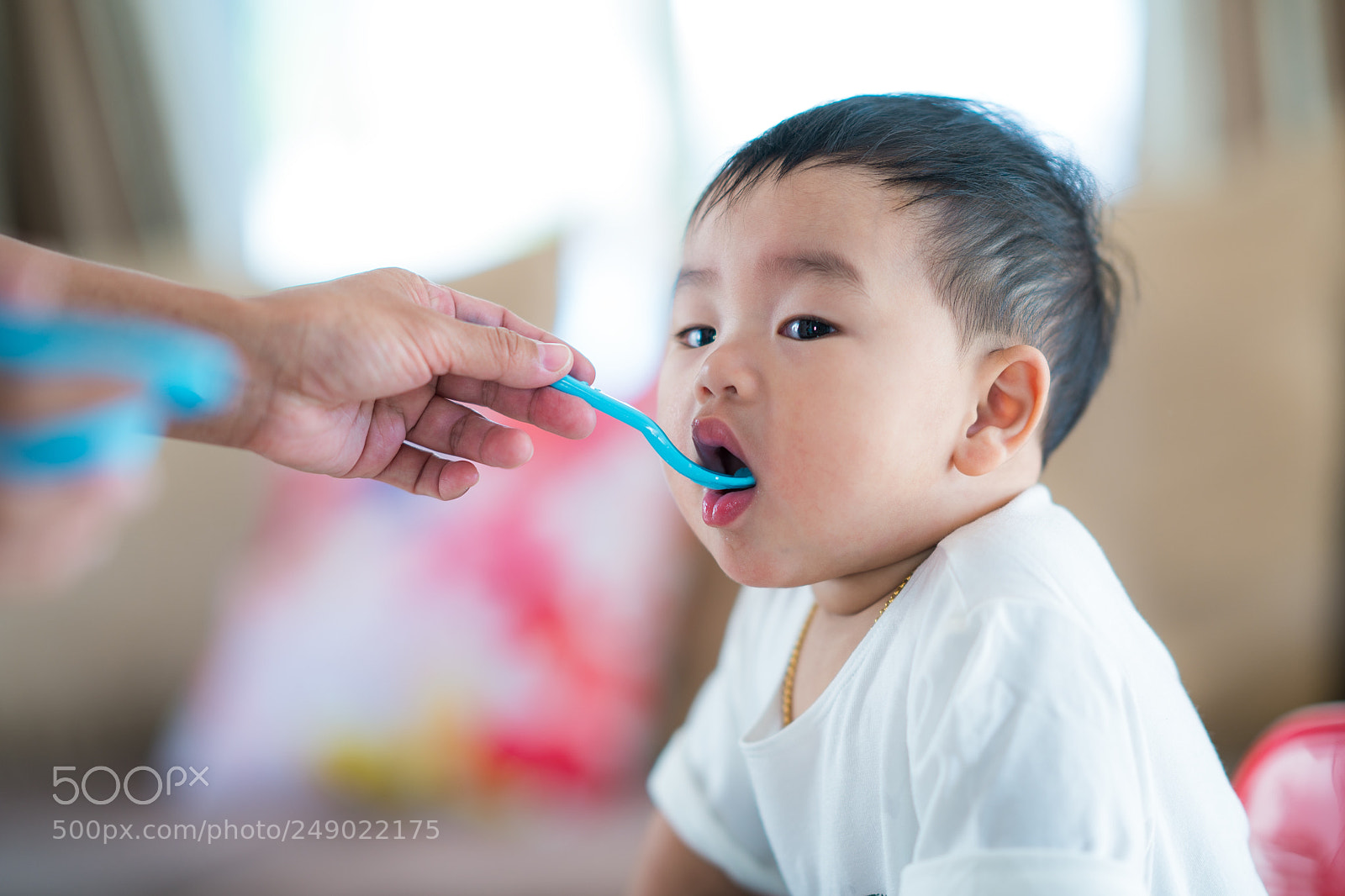 Sony a7R II sample photo. Mothe feed photography